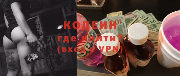 хмурый Алзамай