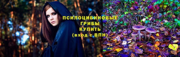 дурь Алексеевка